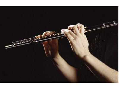 招聘西双版纳长笛家教老师