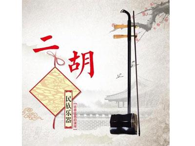 招聘西双版纳二胡家教老师